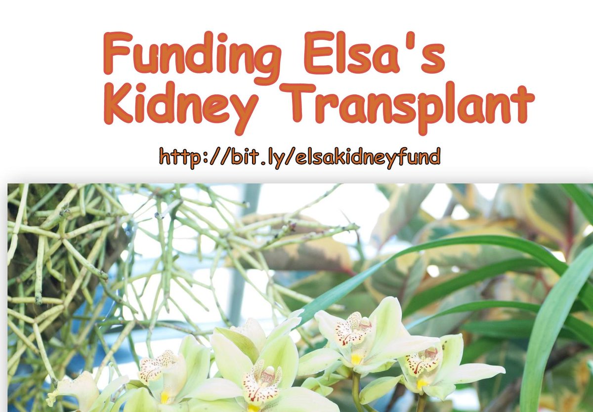 #kidney #transplant #funding #charity #humanities