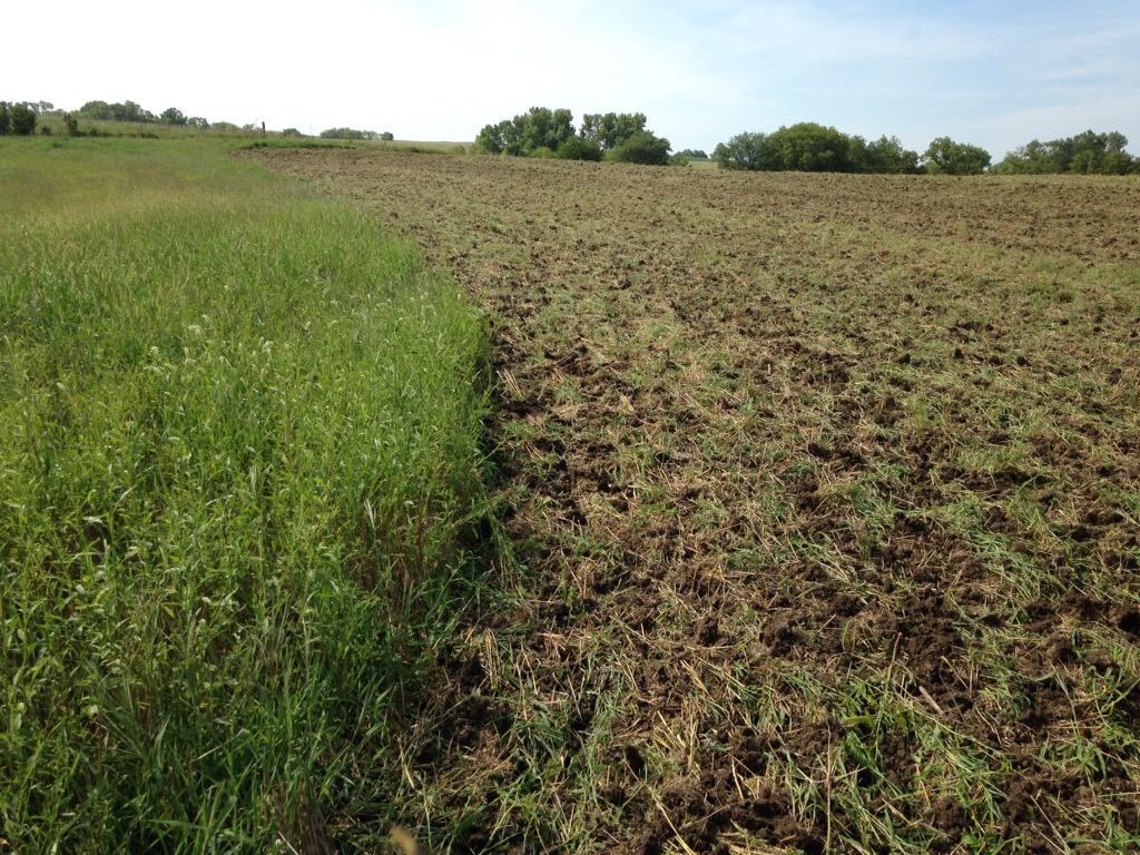 snag717's tweet photo. HSL hammering weeds in KS! #landoll http://t.co/sACEKALKHN