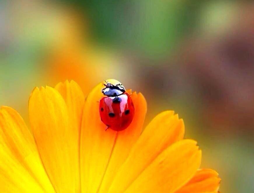 PardueSuzanne's tweet photo. There is great satisfaction
hidden within simplicity... http://t.co/q0kwlWMKRQ