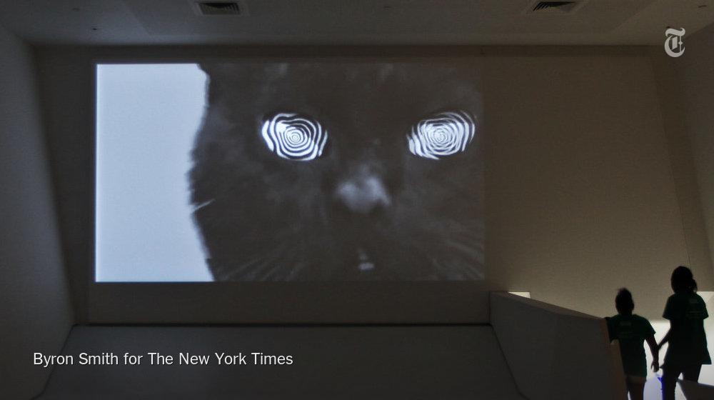 nytimesarts's tweet photo. Let's paws for a look at "How Cats Took Over the Internet" http://t.co/9PeVN5VMTV http://t.co/PWGrhp2lfY