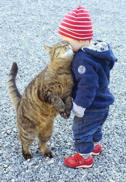 FrenchTopBlogs's tweet photo. #JournéeInternationaleDuChat, meilleur ami de l'homme .. http://t.co/5GYMJgdi9e