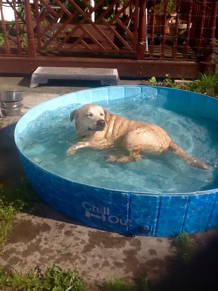 Chill out pool #Ralph