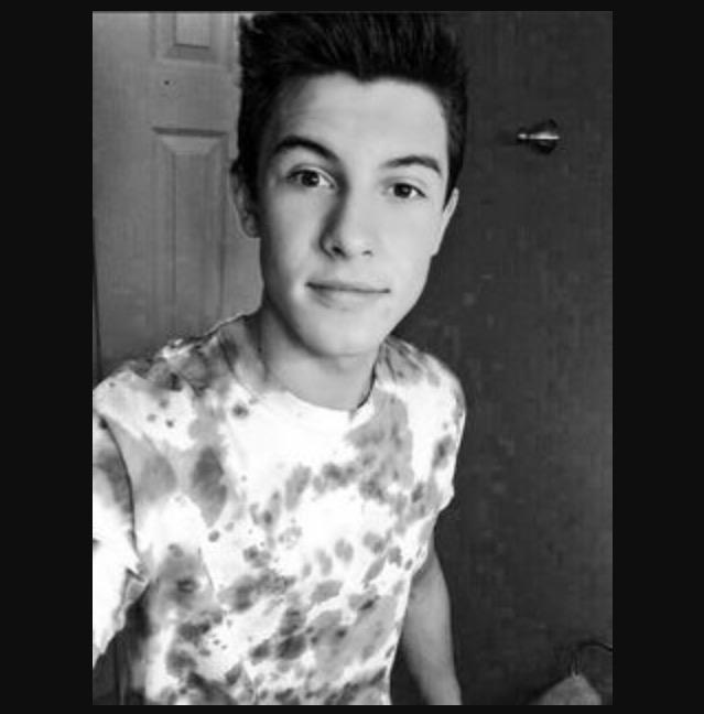 Happy 17th birthday to you Shawn Mendes I love you so much I also hope I will get the chance to meet you really soon. 