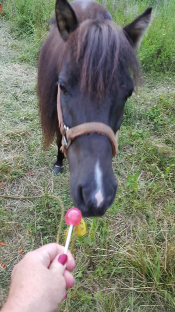 donawag's tweet photo. @oglollipops baby baby says cotton candy and birthday cake x 2 =4 http://t.co/ToOoj6QOkq