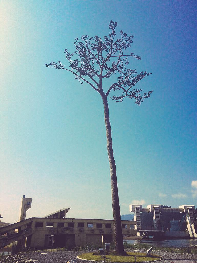 dorothydesu's tweet photo. 東北一周とっても心に残る旅でした。素敵なところがたくさん！是非みんなに遊びに行こ〜う！と大声で言いたい！！ごはんも美味しいし温泉も自然も最高☺︎是非皆さま東北へ〜〜〜 http://t.co/1ta9OhFsF0
