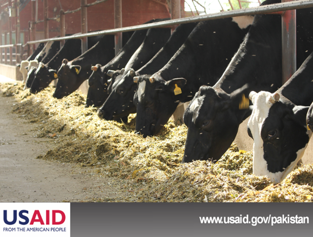 U.S.-Pakistan Partnership for #AgriculturalMarkets Development will develop #Pakistan’s livestock sector meet demand