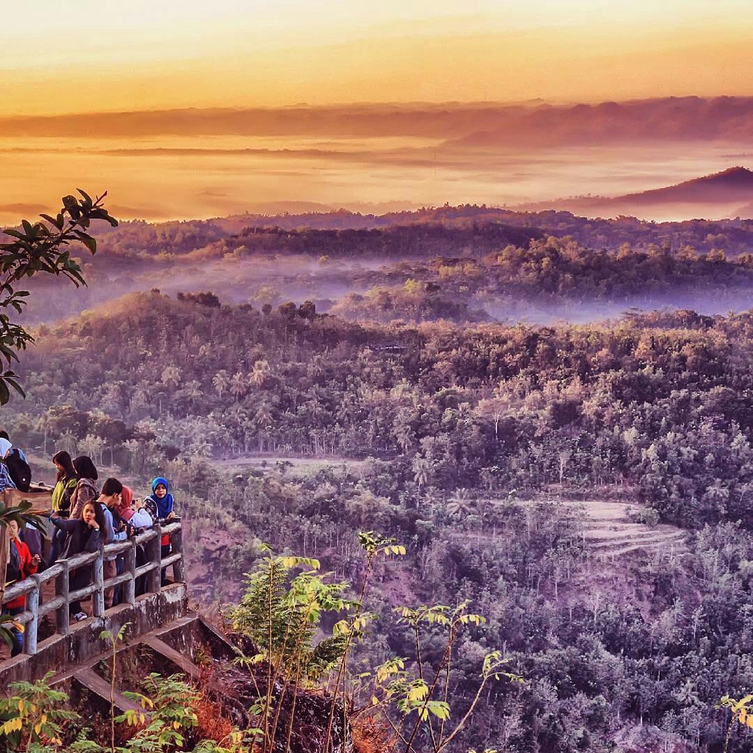 Jogja24Jam's tweet photo. Suatu pagi di kebun buah mangunan, imogiri. foto ig: ihsanudn http://t.co/nkbgBiUpxZ