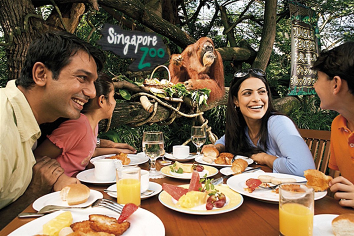 our_sg's tweet photo. This Jubilee Weekend, enjoy 50% off tickets to Jurong Bird Park and more! More info at: https://t.co/M9KHzWvMQO #SG50 http://t.co/gWSHSZE6aR