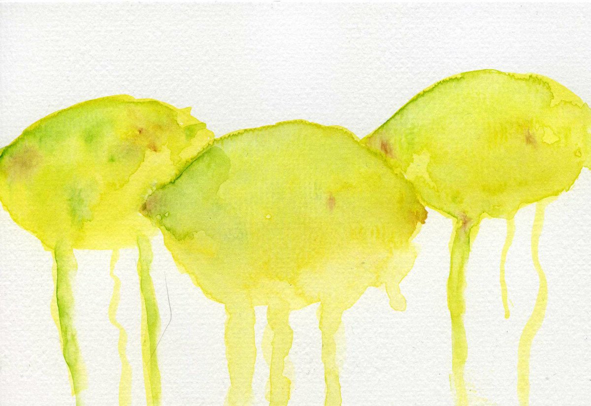 revjesse's tweet photo. three lemons http://t.co/S77dvrqXqW #art #painting #rtforsale http://t.co/pou3aQpfb0