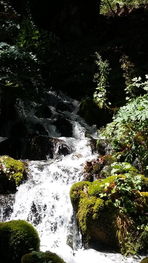 EllisProko's tweet image. 