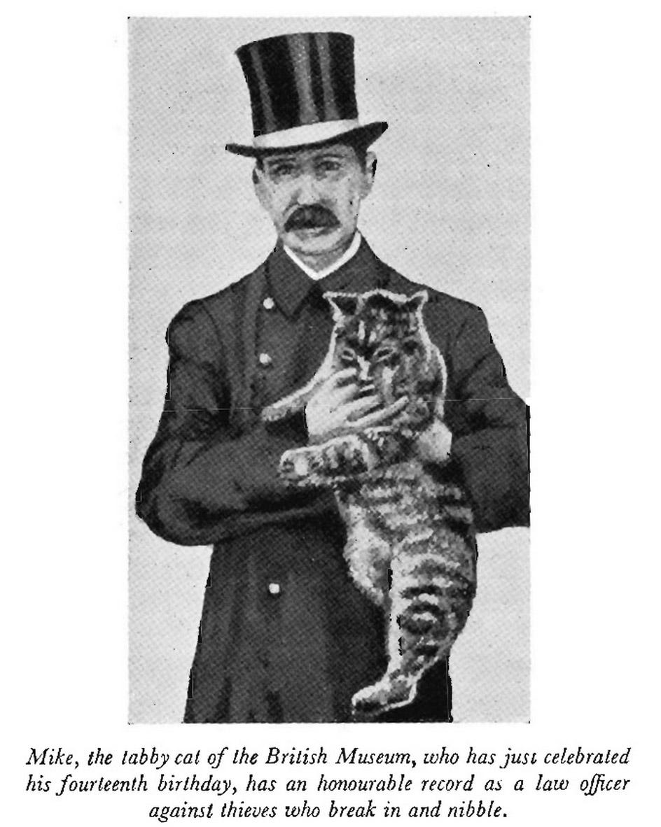 This is Mike, the real cat who helped keep the Museum’s gate 1909–1929 #InternationalCatDay ow.ly/QpKAg