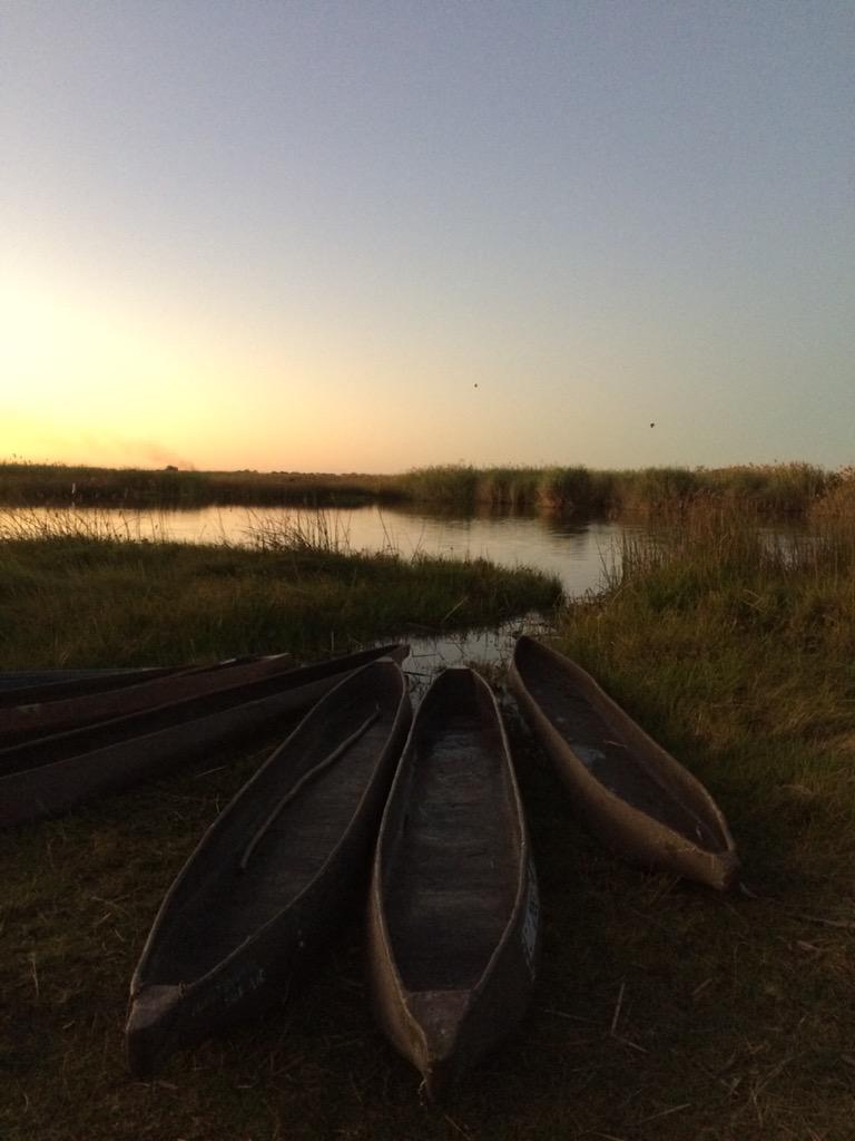 TrinityTrips tweet picture