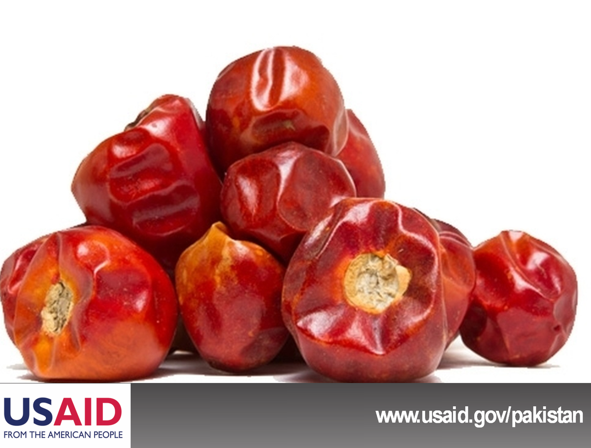 U.S.-Pakistan Partnership for #AgriculturalMarkets Development will provide #grants & #technology for private sector