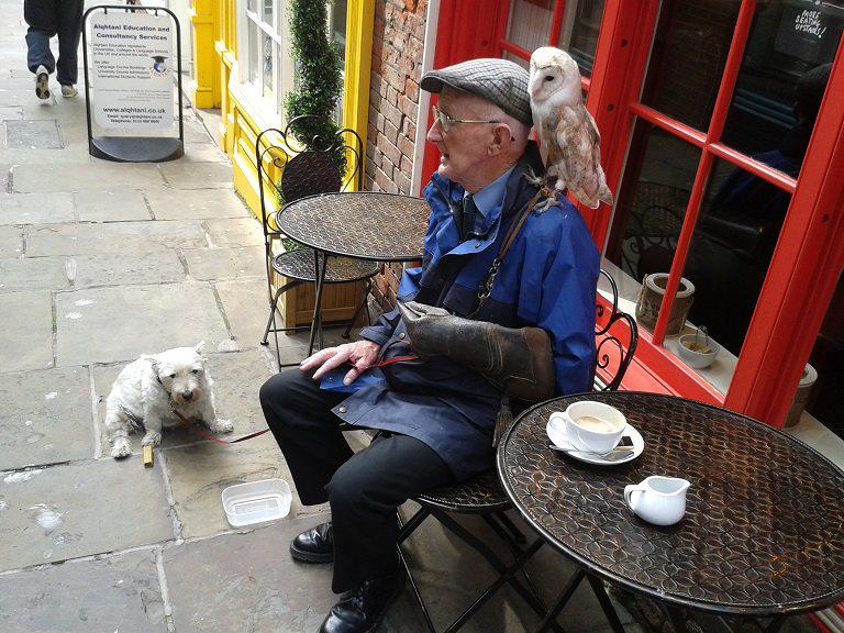 GypsySoulsCoffe's tweet photo. Someone like this wants to stop by this morning, I will give you as much free coffee as you want today. http://t.co/jtcE9PaBsQ