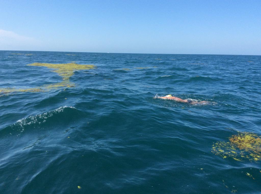 swim4starlight's tweet photo. This was what the separation zone was like http://t.co/CUB8IPGWDt