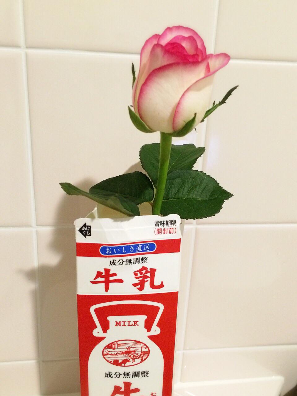 Ayance 花瓶処分した事忘れて 代用牛乳パック 泣 買って帰ったこのお花の花言葉 甘い人生 いい夏休みになりますよーに Http T Co Zwscijz2pe Twitter