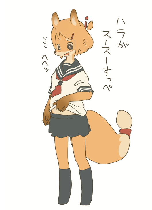 セーラーキツネ 