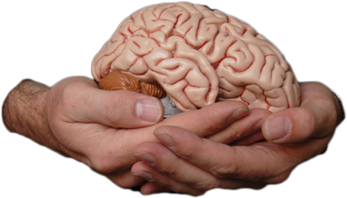 Researchers Are 3D Printing Neural Cells Of the Brain 3dprint.com/86557/3d-print…