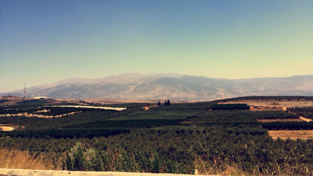 fatimafaour's tweet photo. Palestine is so beautiful ❤️ http://t.co/RBpJWOCeI3