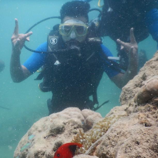 actiontravel_'s tweet image. #underwater #ScubaDiving @Havelock #amazingcorals #nemofish by vipulgog more at ift.tt/1SDM8Ec