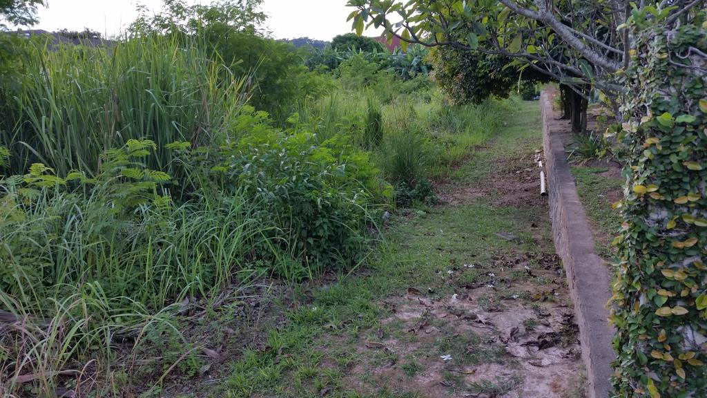Amir3Aziz's tweet photo. @MPKajang @mrelia62  lot kosong terbiar tiada tindakan ke atas tuan punya. Lot#5 Jln 3/6L Bdr Baru Bangi  Selangor http://t.co/pWkepamNXo