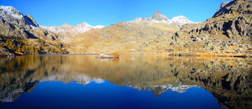 spookstudio tweet media