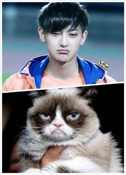 TAORISLAND's tweet photo. ZTAO the kitten 😺 http://t.co/MRLms3xP9U