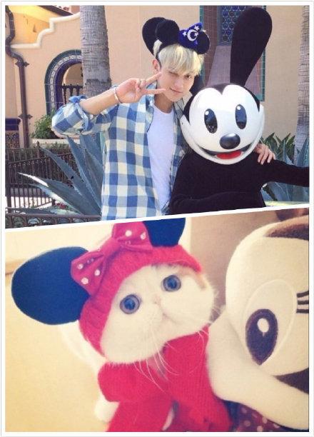 TAORISLAND's tweet photo. ZTAO the kitten 😺 http://t.co/MRLms3xP9U