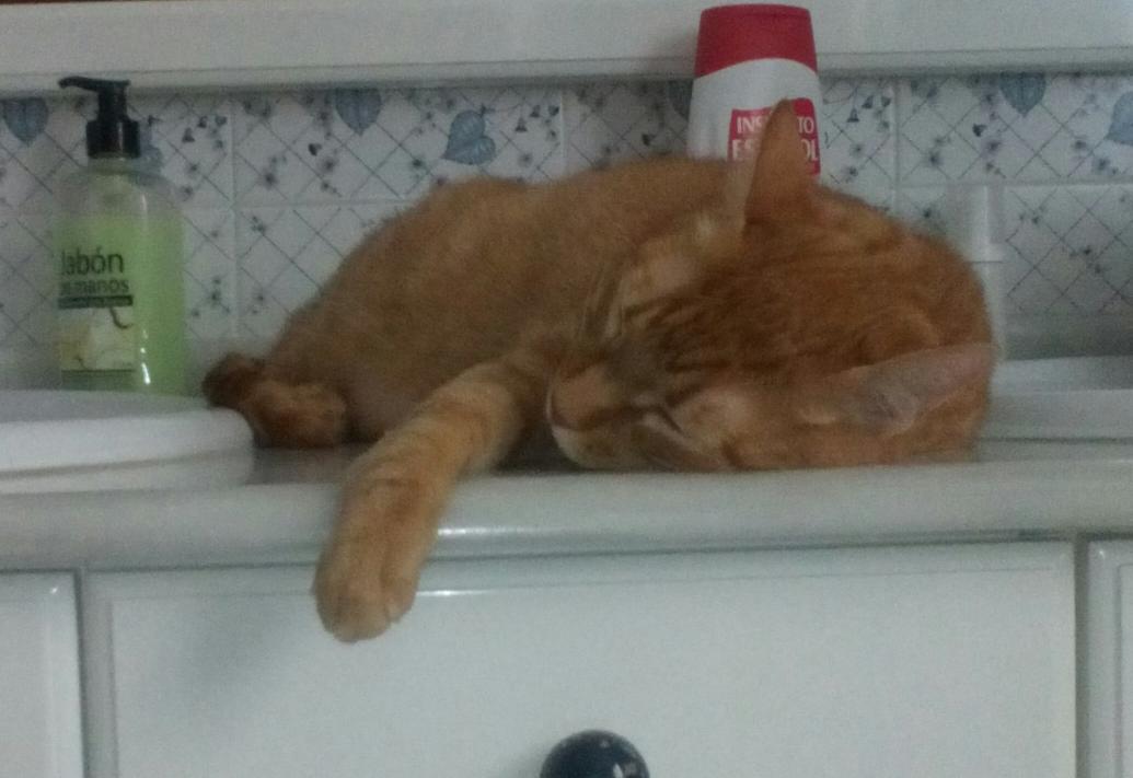 casarum's tweet photo. Y ahora quien le dice que ahí no se duerme... http://t.co/xhp8I17sQl