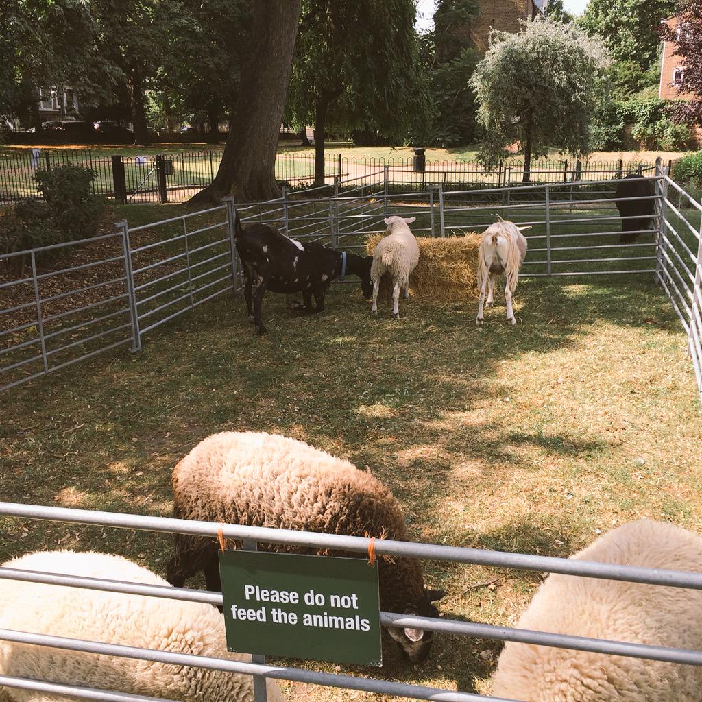 FriendsofBrunswick tweet media