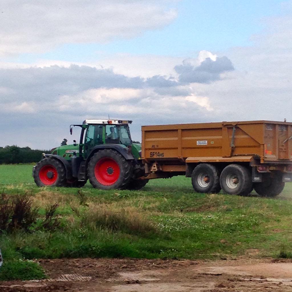 dairychris's tweet photo. #barleytime #strawtime http://t.co/PJqEn3EGQM