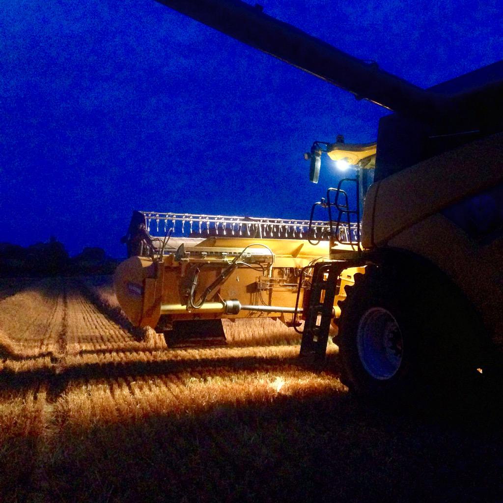 dairychris's tweet photo. #barleytime #strawtime http://t.co/PJqEn3EGQM