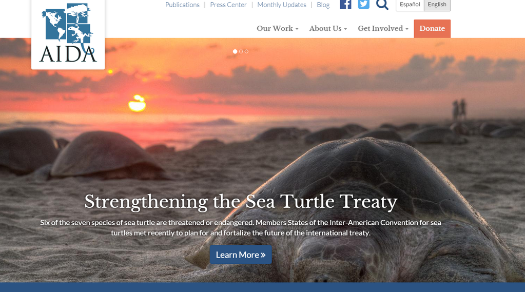 ngodomain's tweet photo. Gotta love me some sea turtles. Wonderful pictures (and cause) http://t.co/tOvdjfRXZj… http://t.co/25qVPRY0UJ http://t.co/Qhfle4ekT4