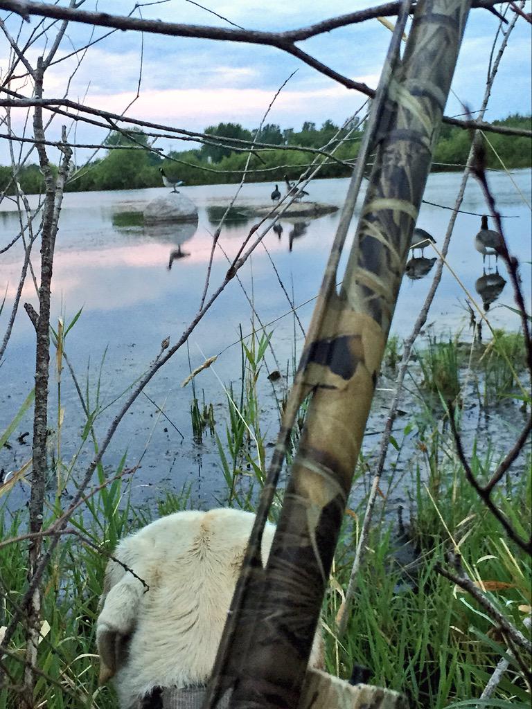 11vandy's tweet image. And so it begins....