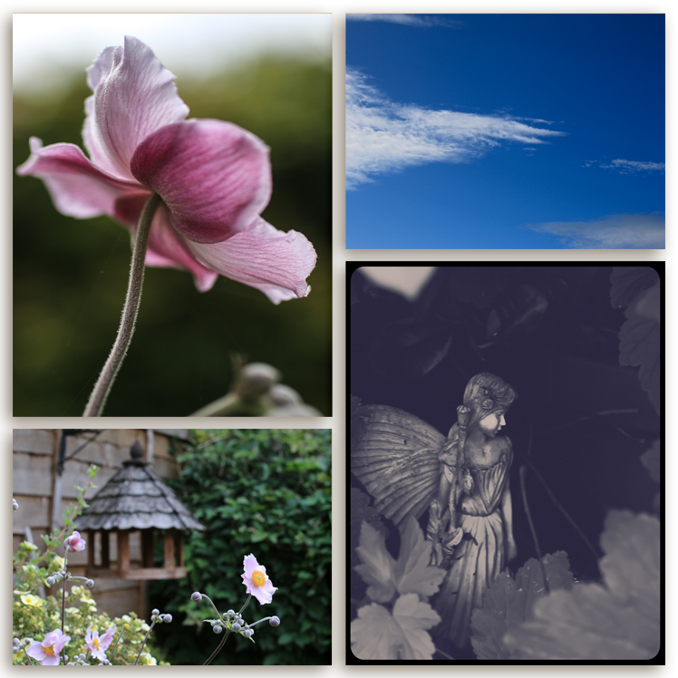 MissEllieDee's tweet photo. New blog post: This Week {words and pictures} sharing with @WSmostlywriting #wordspictures⦠http://t.co/8WCgJxwO3j http://t.co/v9VulFRUFu