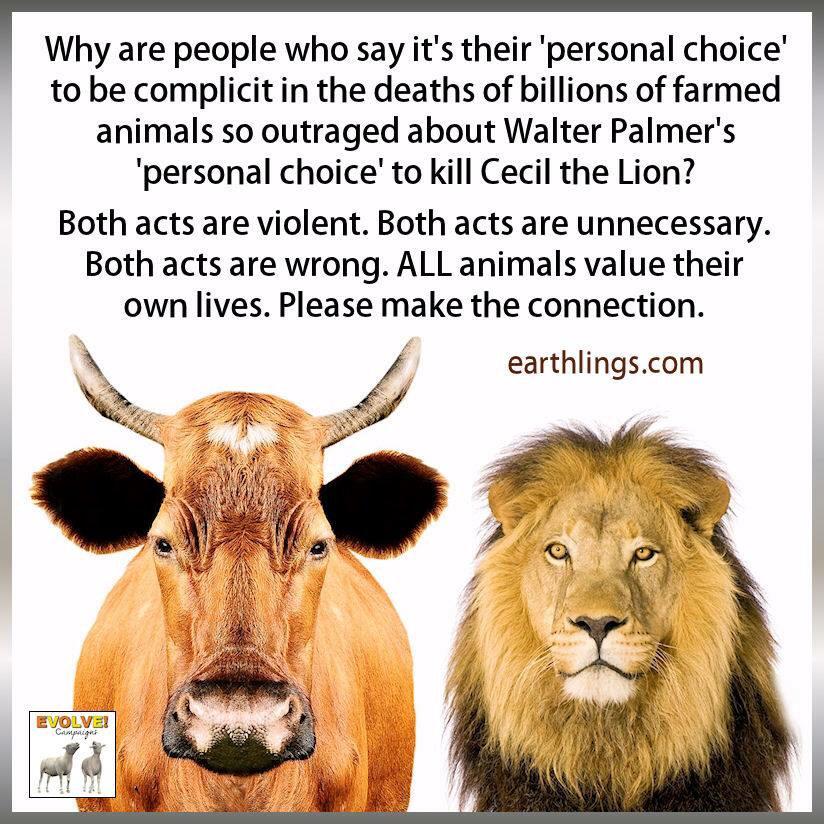 PKingI74's tweet photo. #alllivesmatter http://t.co/C6npy6CQXm