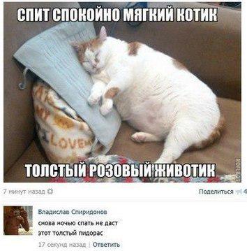 Константин (@kshemchuk) on Twitter photo 