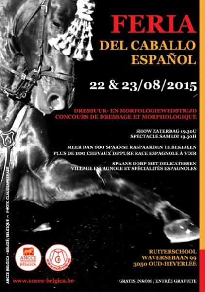 Studbook_App's tweet photo. Próximos concursos de Acción Ecuestre y Studbook: Bélgica, Baza y Anducab! http://t.co/LiaBA6crrg