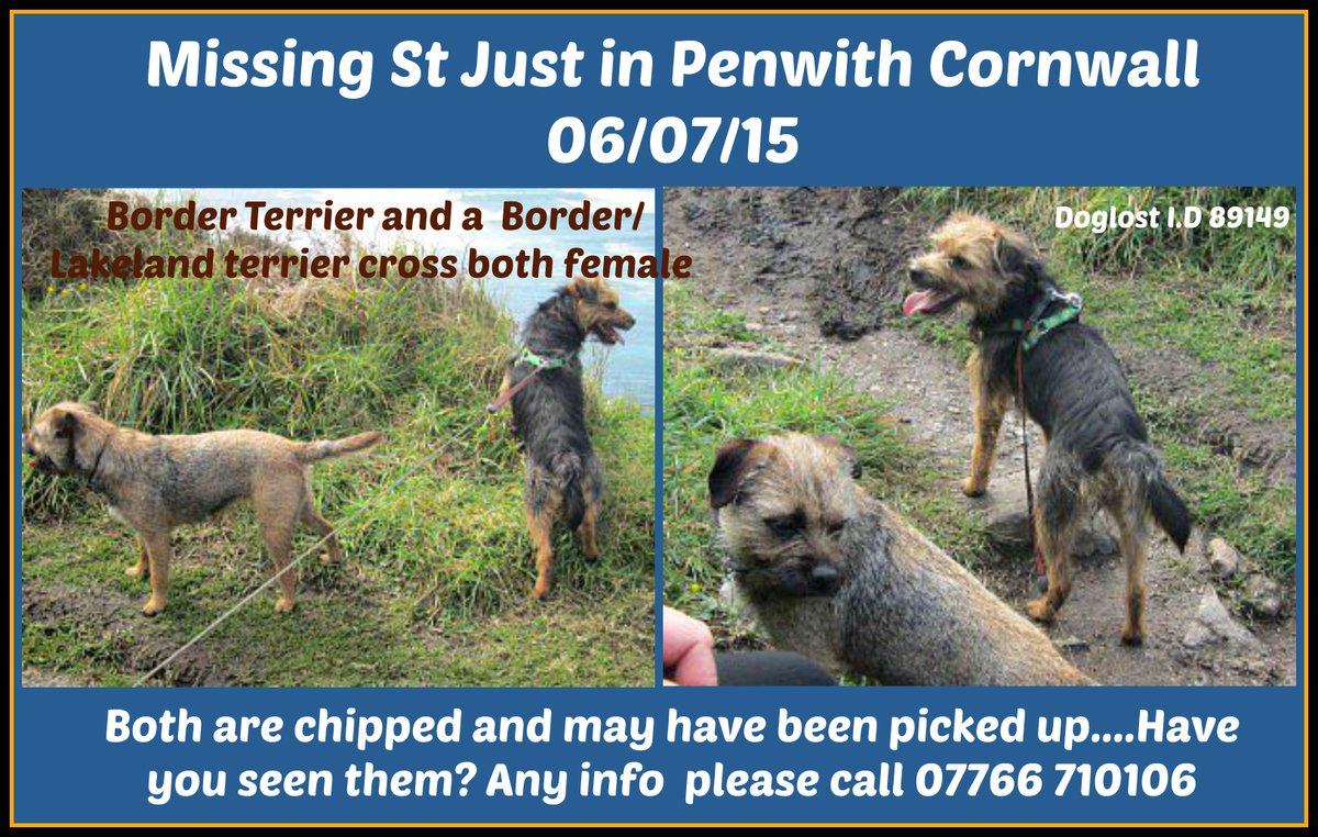 Sarah Williams tweet media