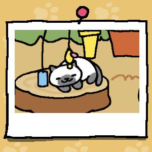 #ねこあつめ
(≧∇≦) 