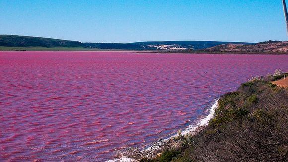vacaygoals's tweet photo. Lake Hillier, Australia: http://t.co/gHhQwg9lJJ