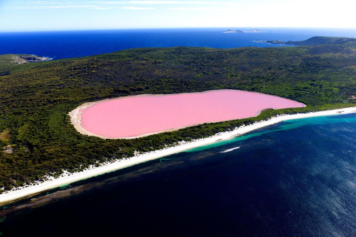 vacaygoals's tweet photo. Lake Hillier, Australia: http://t.co/gHhQwg9lJJ