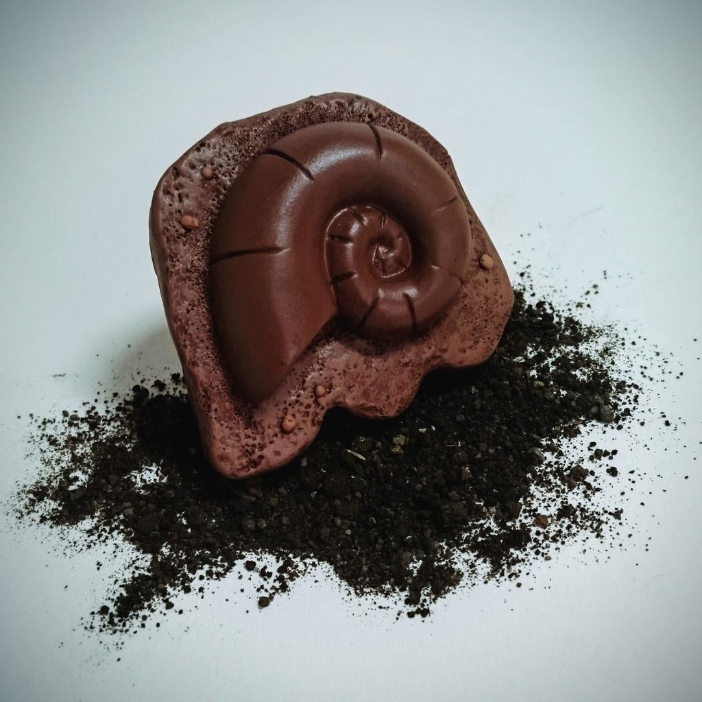 OrcwardShoppe's tweet image. Follow and retweet for a chance to win a rare helix fossil! Winners picked at 3pm collect at stall @DublinComicCon