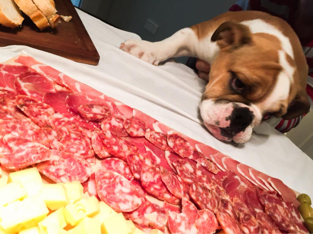 Con la picada de <a href="/elalmacendelizy/">El almacen de Lizy </a> !! Chopper, calmate! <a href="/lizytagliani/">Lizy Tagliani</a>