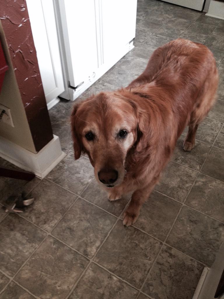 McKennah Stuckey tweet media