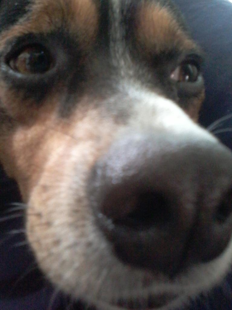 krabtoken's tweet image. #perdeuplayboy
Perdeuplayboy
#PerdeuPlayboy
Perdeu playboy