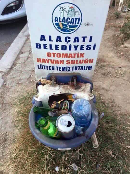CL5Ak_iUEAAJB8Q.jpg