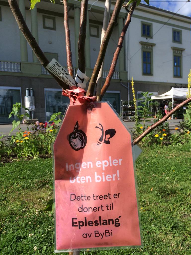 ElineKP's tweet photo. To fantastiske initiativ som møtes i #abelshage @bybioslo @EpleslangOslo http://t.co/AxQQI4jlSC