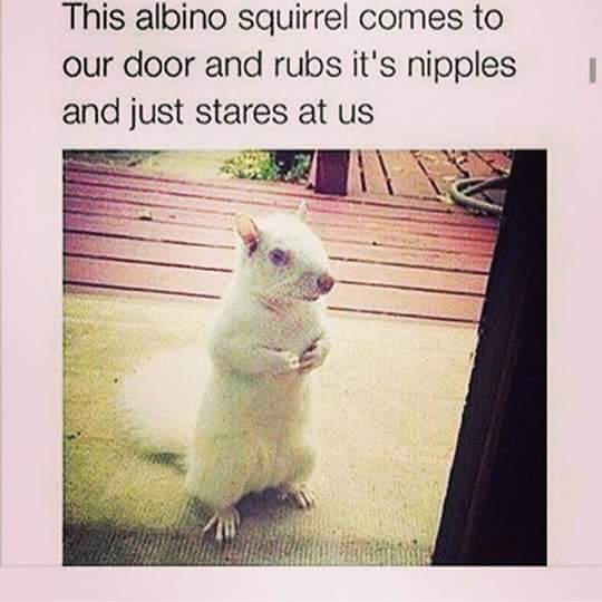 zappafaye's tweet photo. #AnyRelation ? #Lolz @squirrel8870 http://t.co/5JggvVdVXp