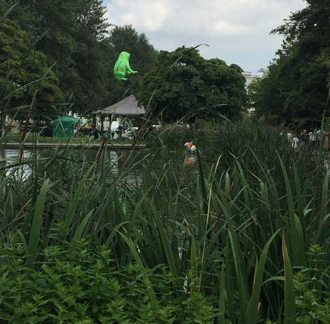 LarkinToads's tweet photo. Just chillin' #LarkinToads #Hull http://t.co/eqAz1gh2Hd